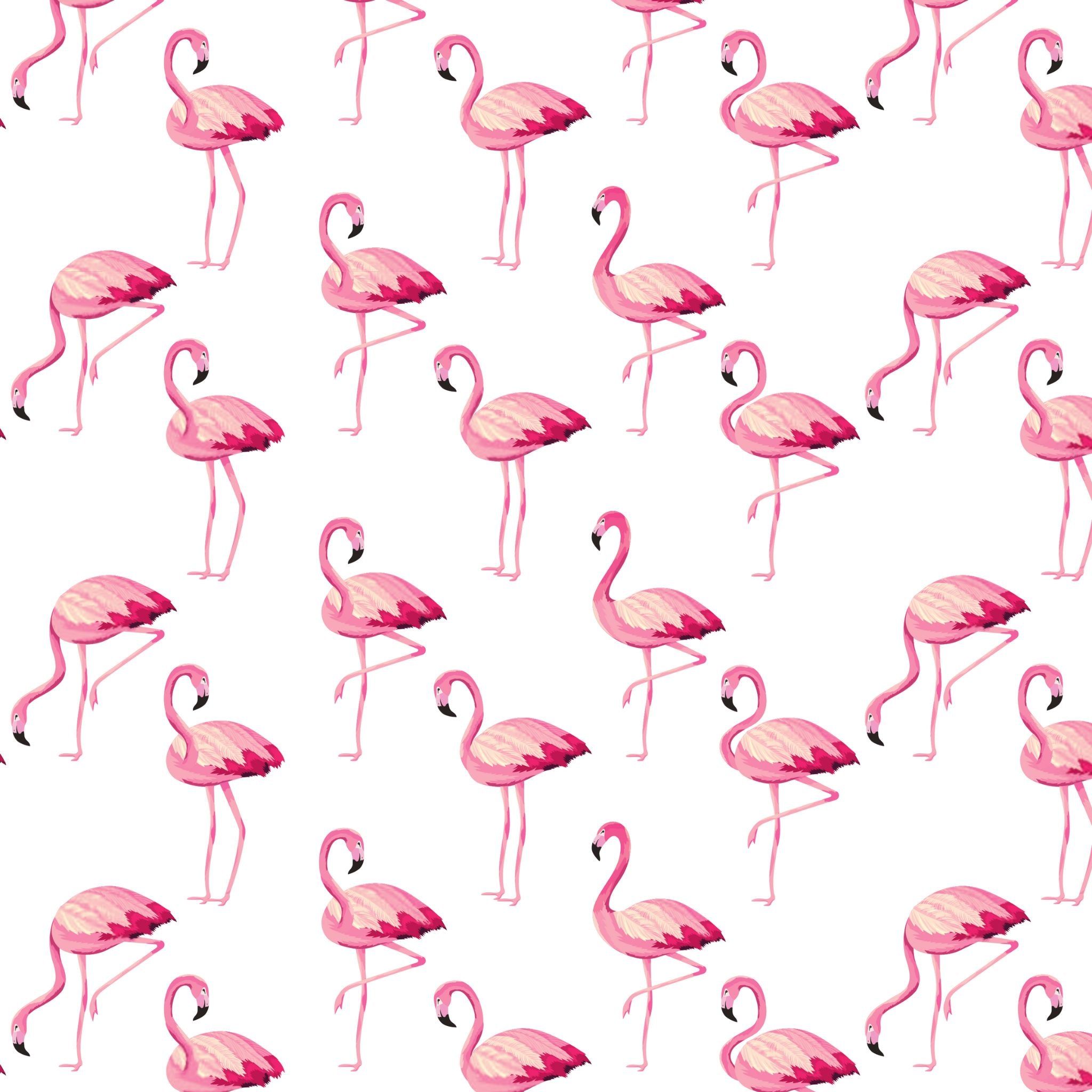 A pattern of pink flamingos on white background - Flamingo