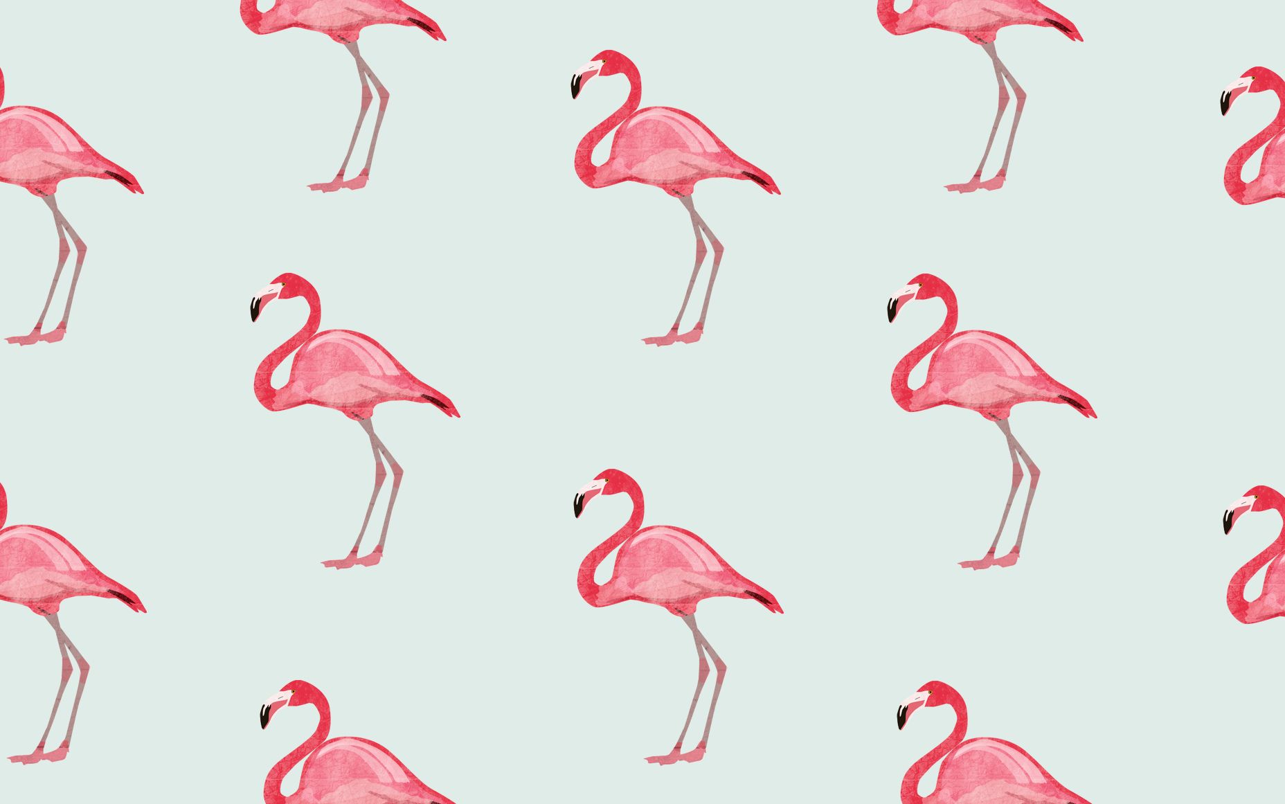 Flamingo Desktop Wallpaper