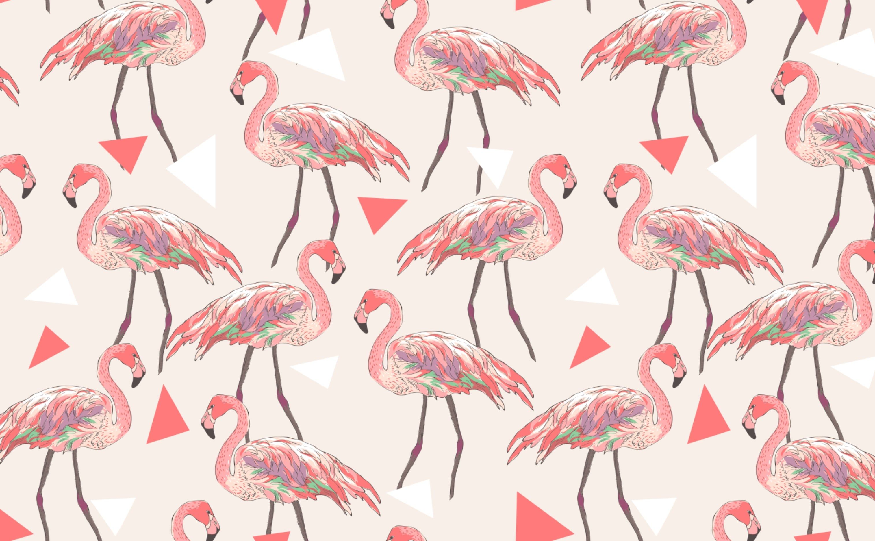 Flamingos & Triangles Wallpaper for Walls. Funky Flamingos on Black