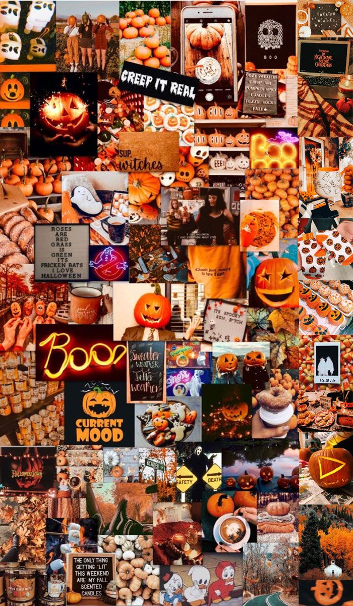 A collage of pictures with pumpkins and other halloween decorations - Fall, cute fall, cute Halloween