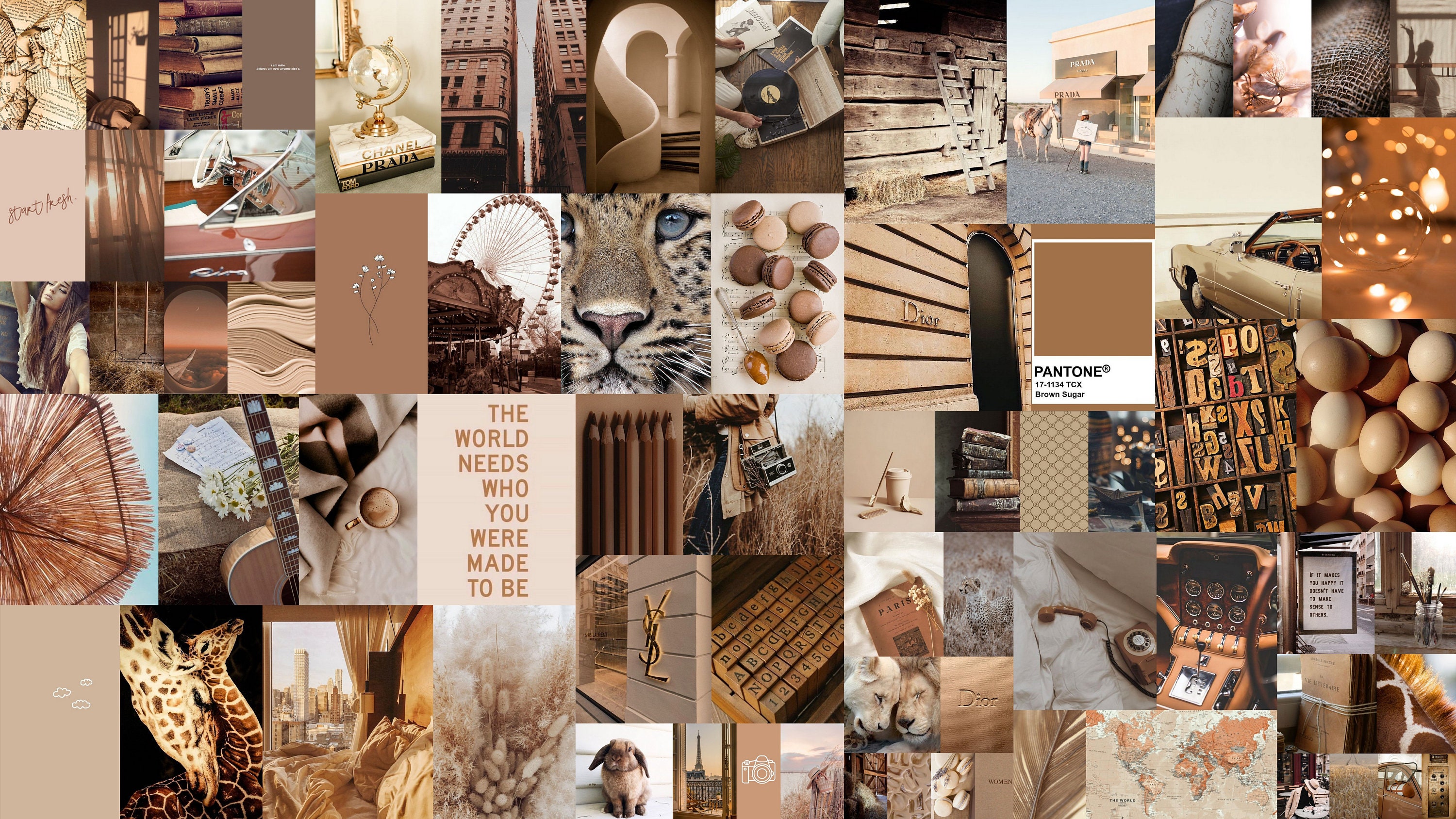 A collage of pictures with different colors - Collage, light brown