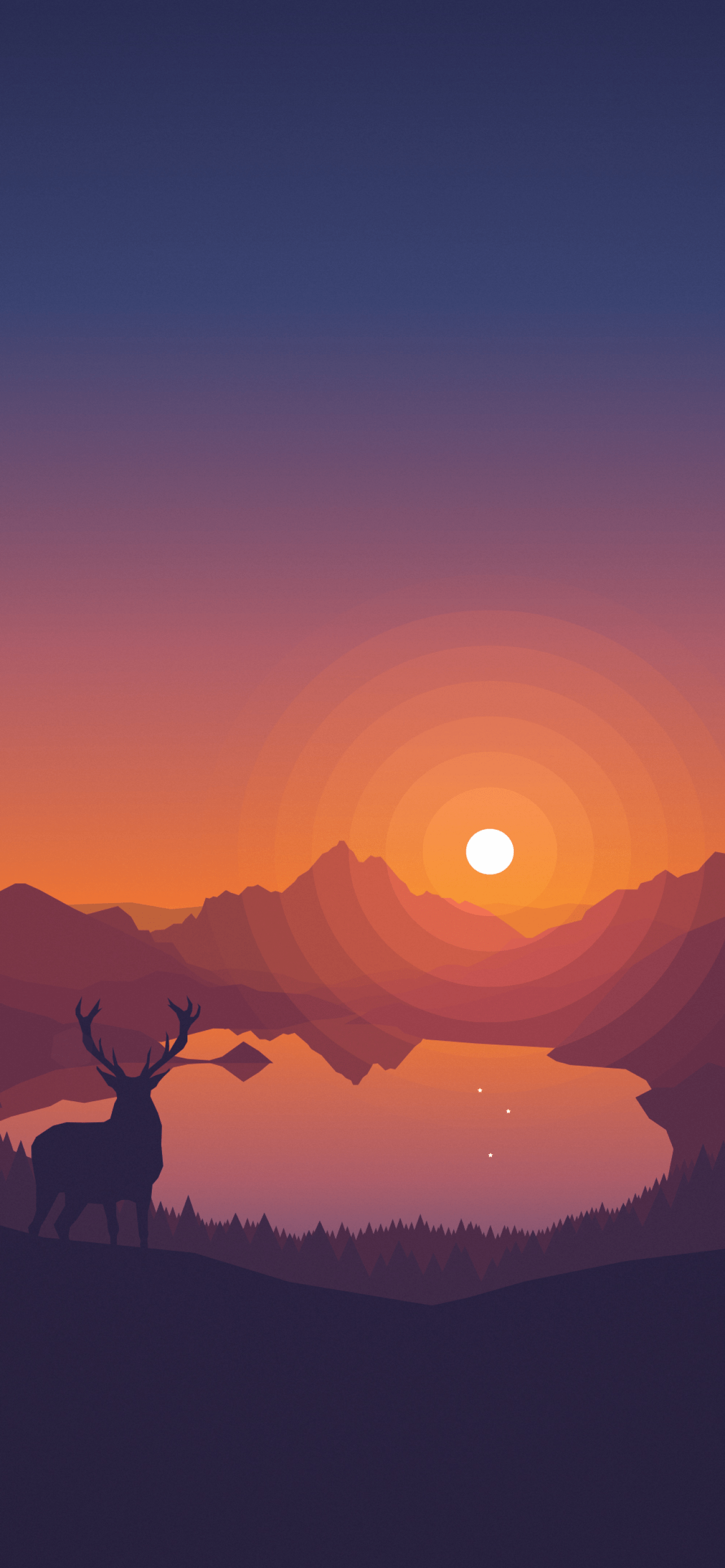 A deer in the woods during a sunset - Deer
