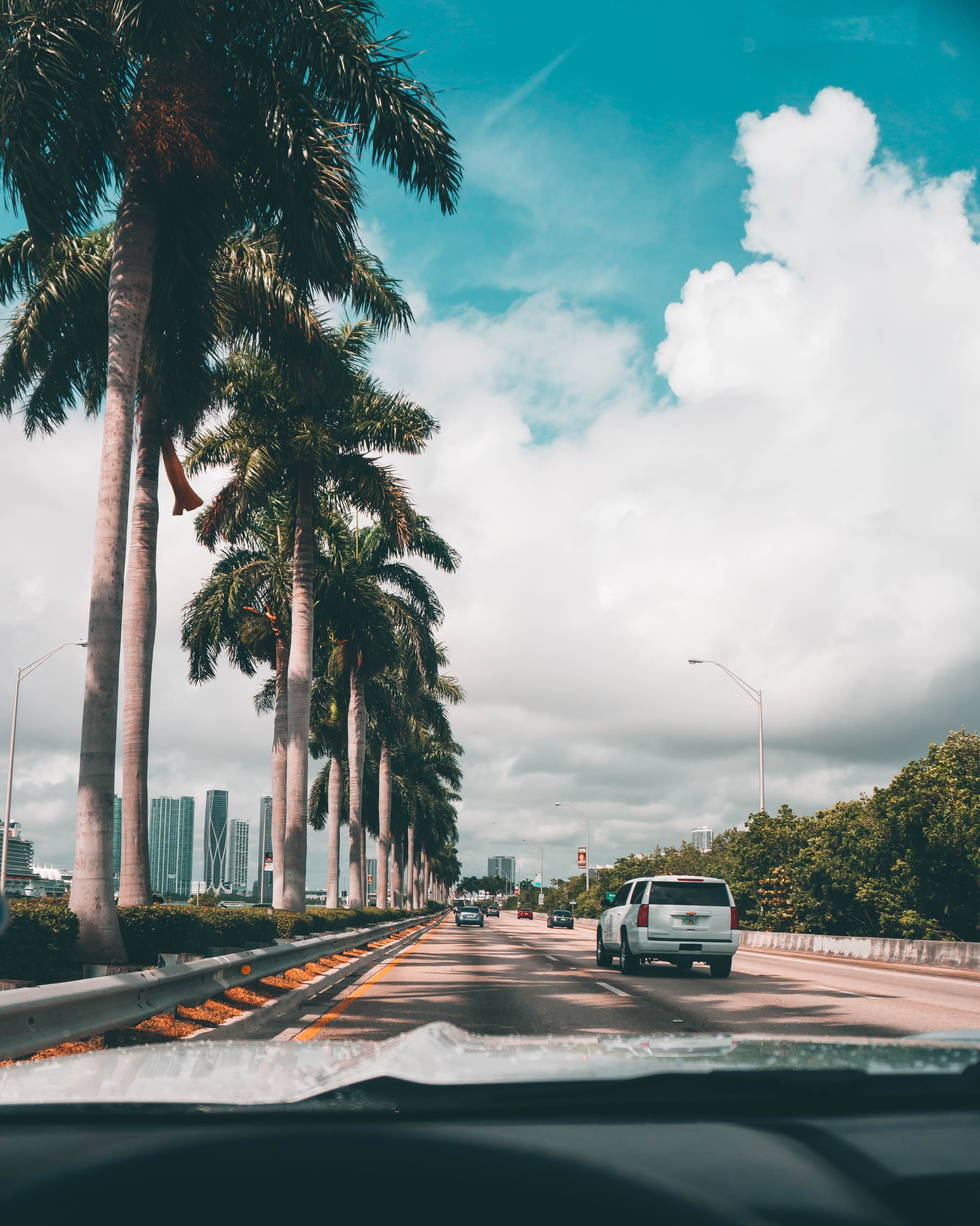 A view of the road from inside an automobile - Florida