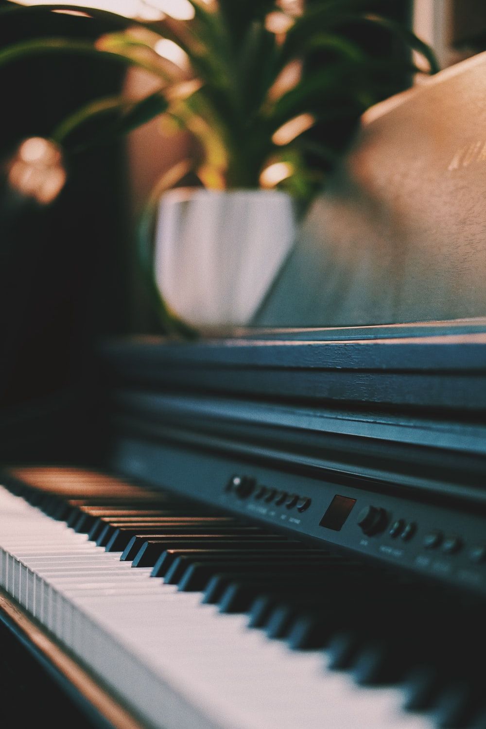 A piano with a potted plant in the background. - Piano