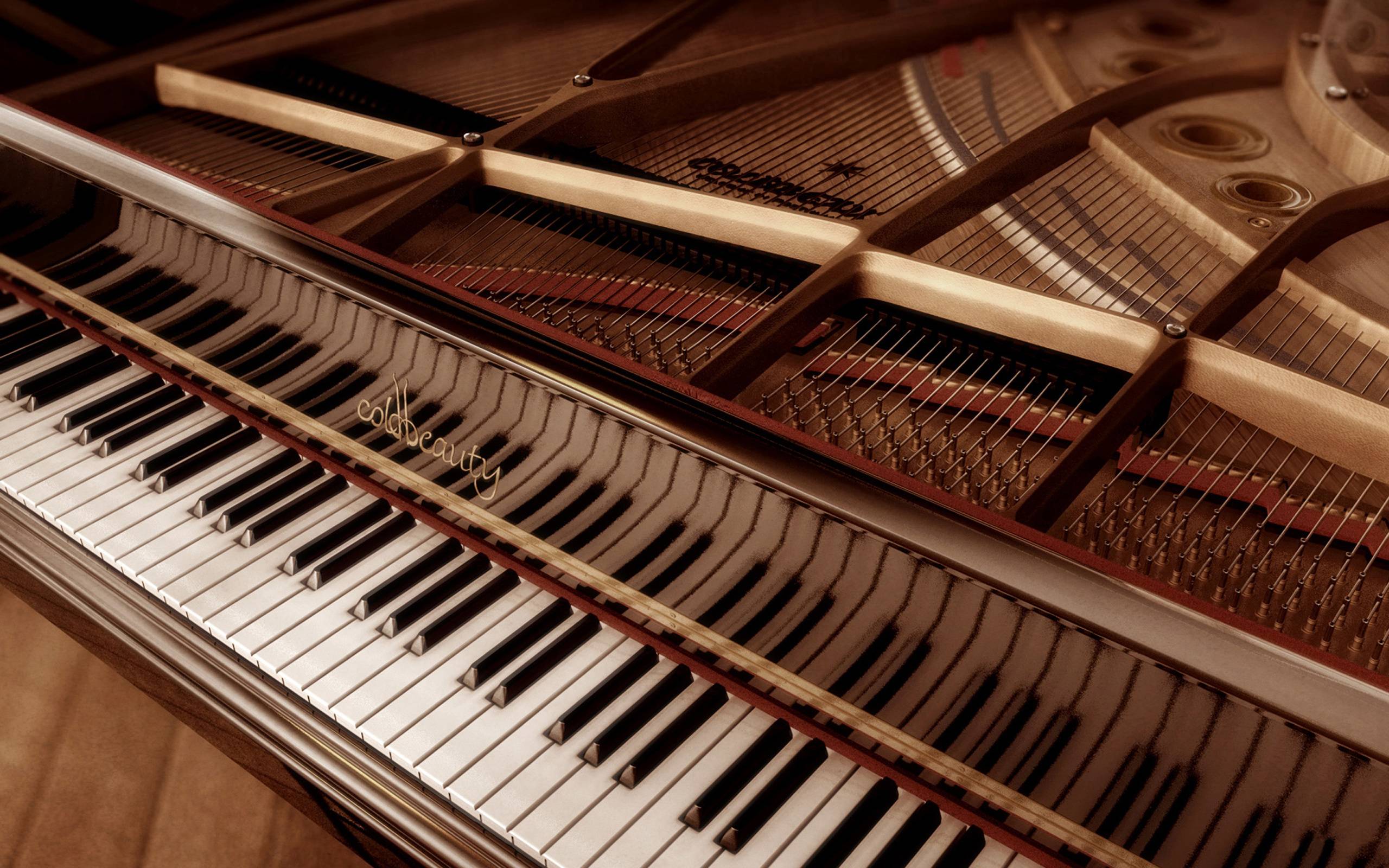 Close up of the inside of a piano showing the strings and keys - Piano