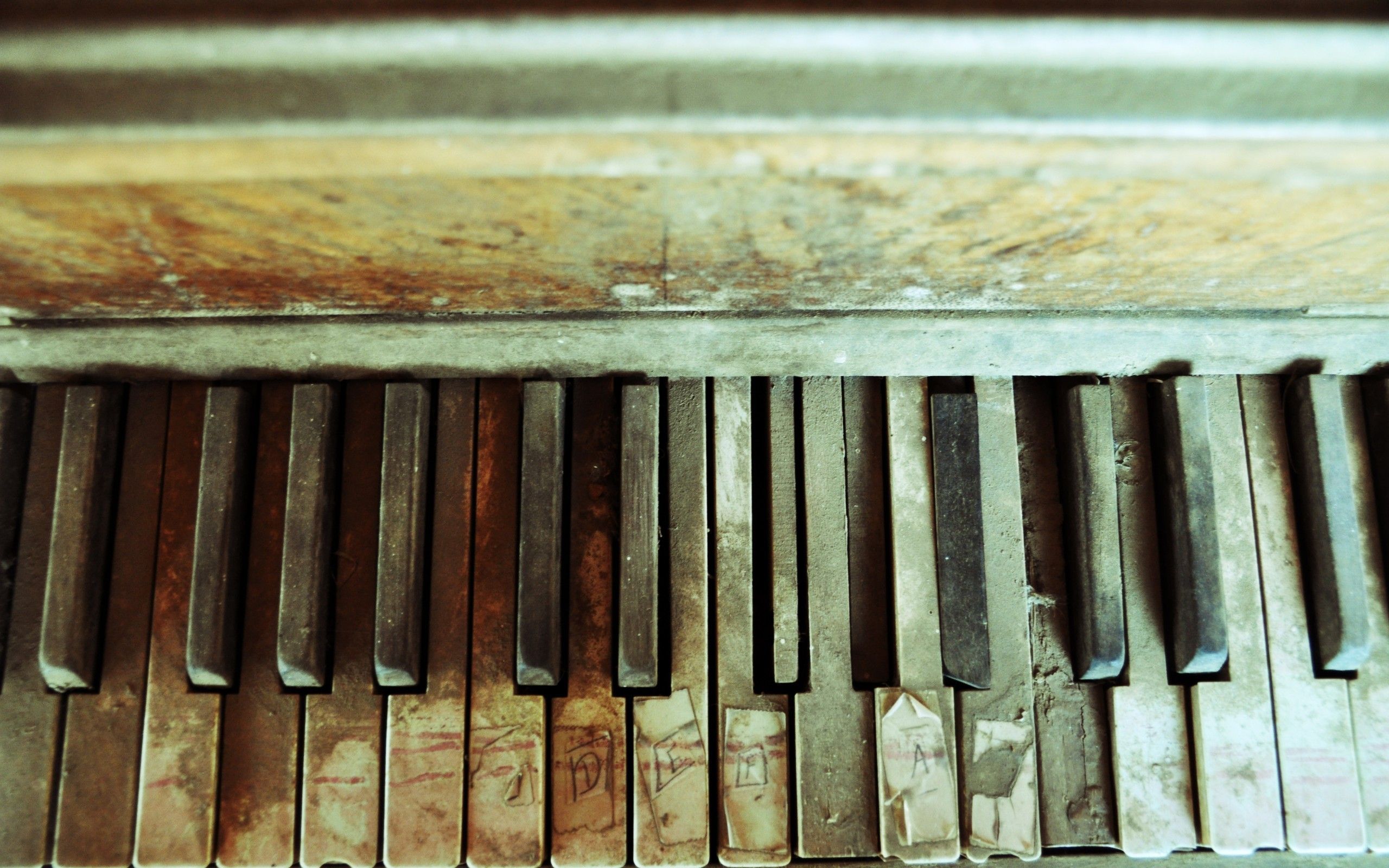 A close up of the keys of an old, rusty piano. - Piano