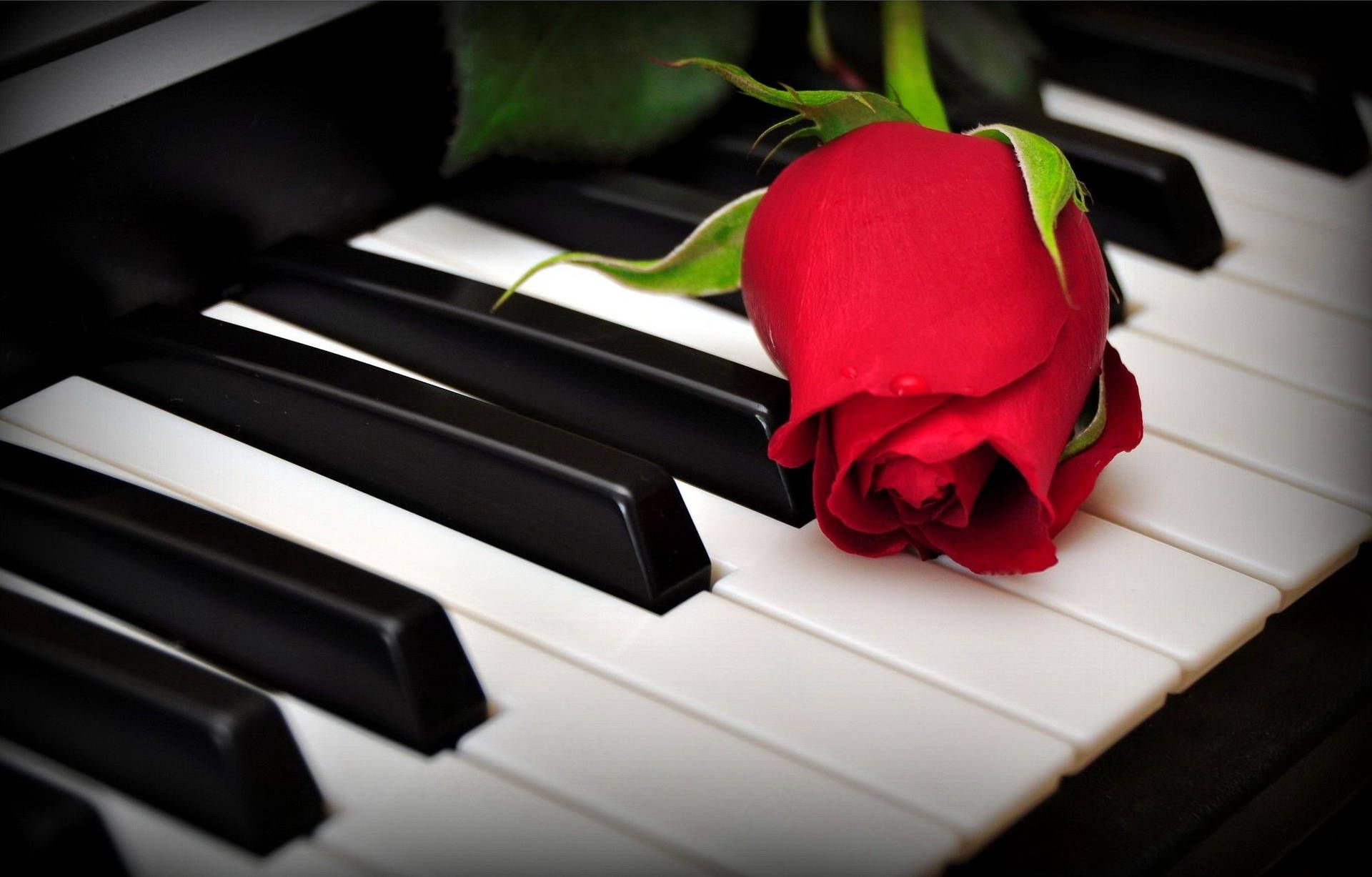 Free Piano Wallpaper Downloads, Piano Wallpaper for FREE