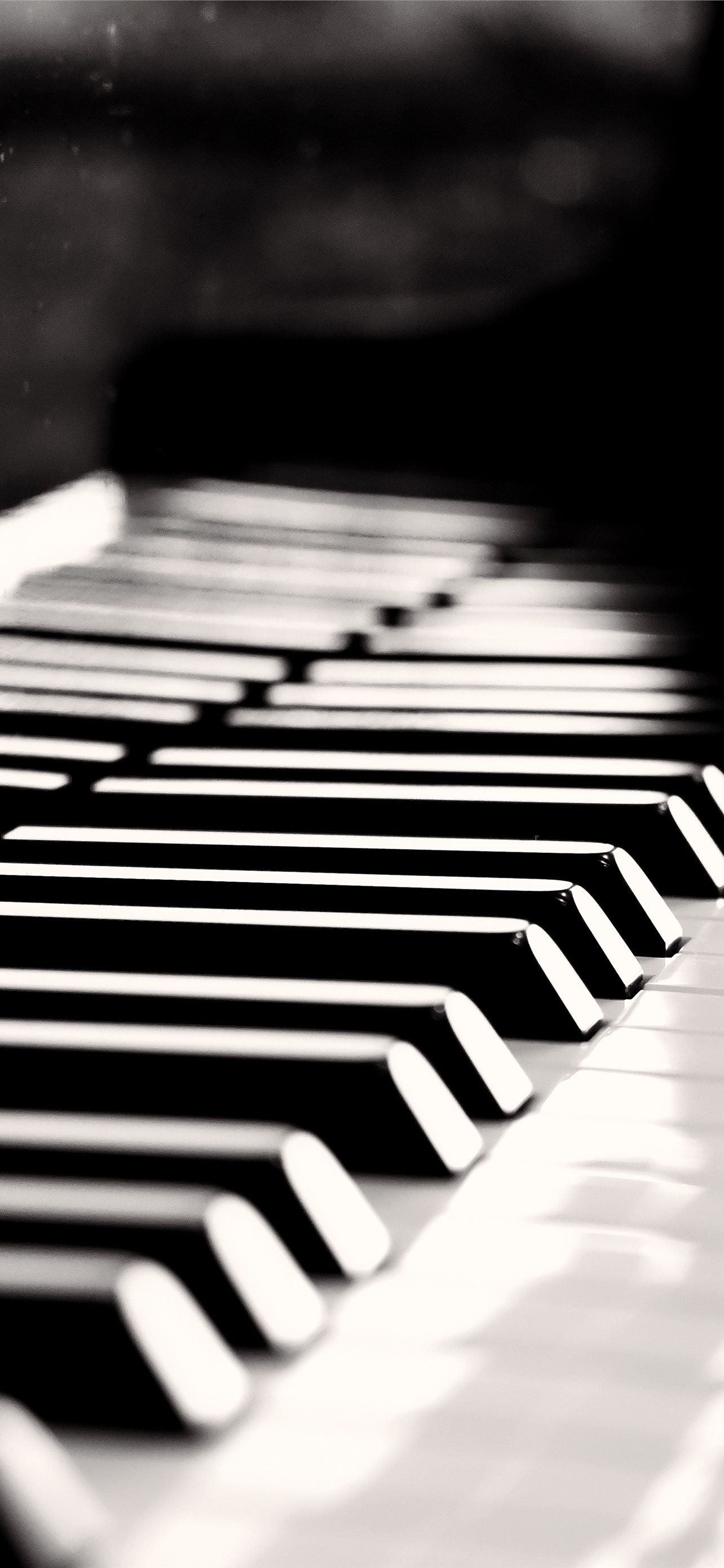 A close up of a piano keyboard in black and white. - Piano