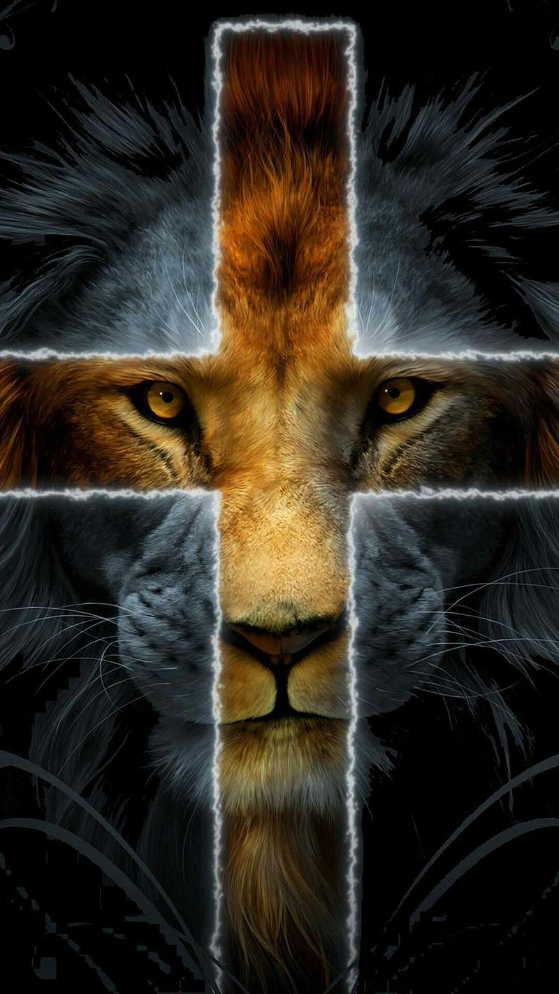 Lion of Judah, bible, christian, HD phone wallpaper