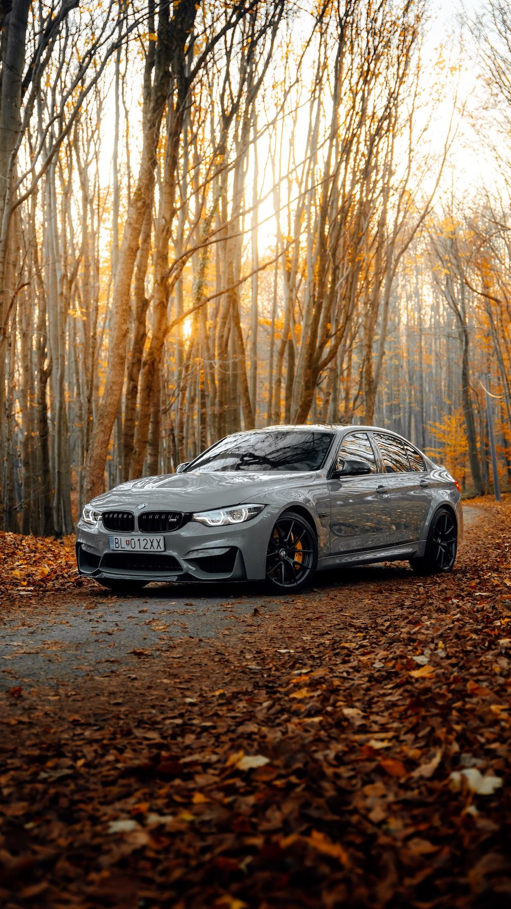 A silver BMW M3 parked in a forest surrounded by trees - BMW, cars