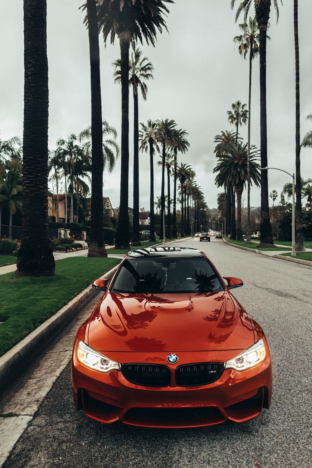 An orange BMW M4 on a palm tree lined street - BMW