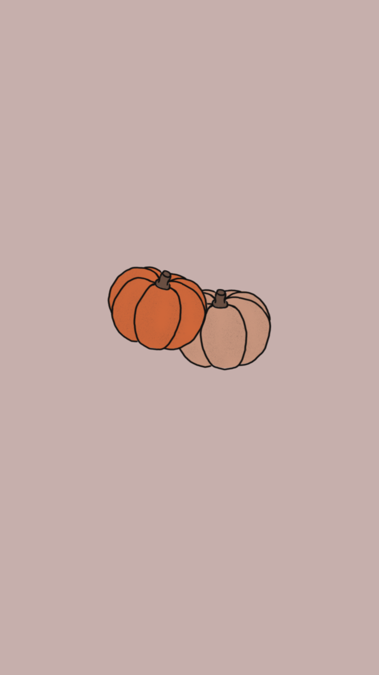 Two pumpkins on a pink background - Fall, cute fall, fall iPhone