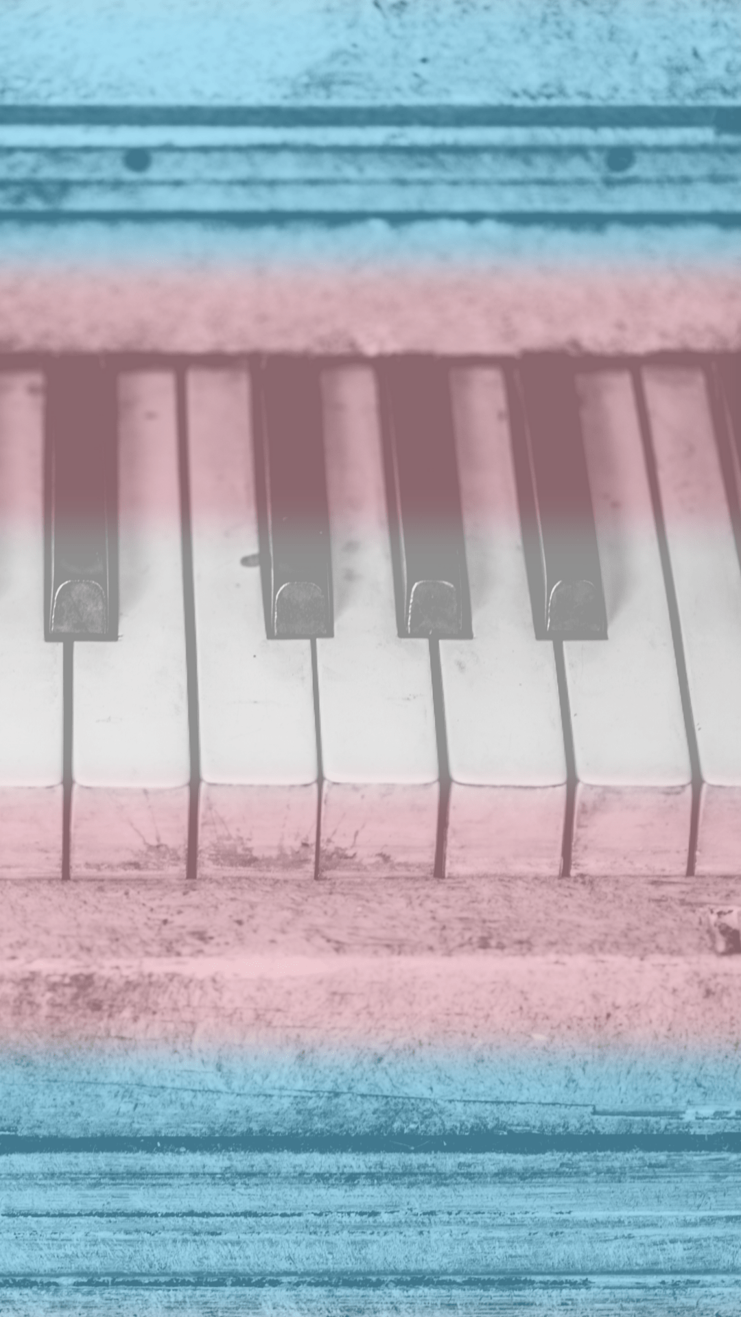 Transgender pride flag painted on a piano keyboard - Piano