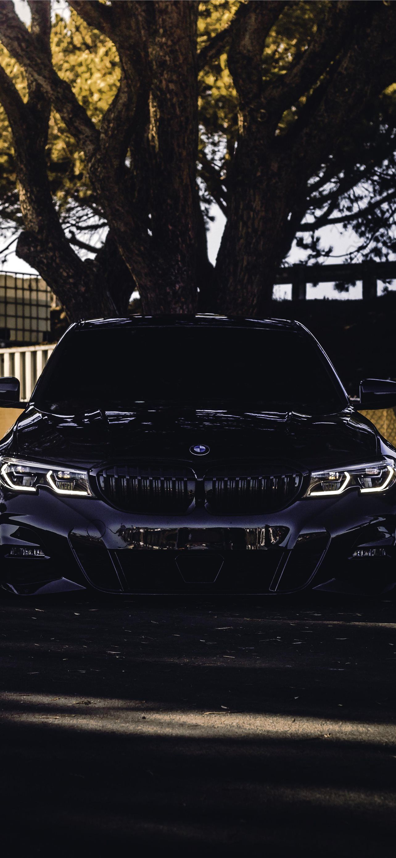 Bmw 3 series front view in the forest wallpaper 1242x2688 - BMW