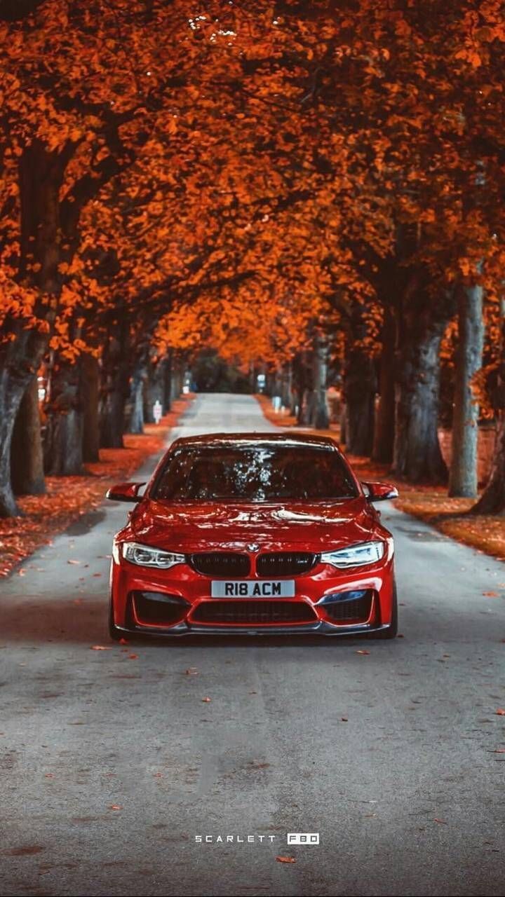 A red bmw car parked in the middle of an autumn tree lined road - BMW