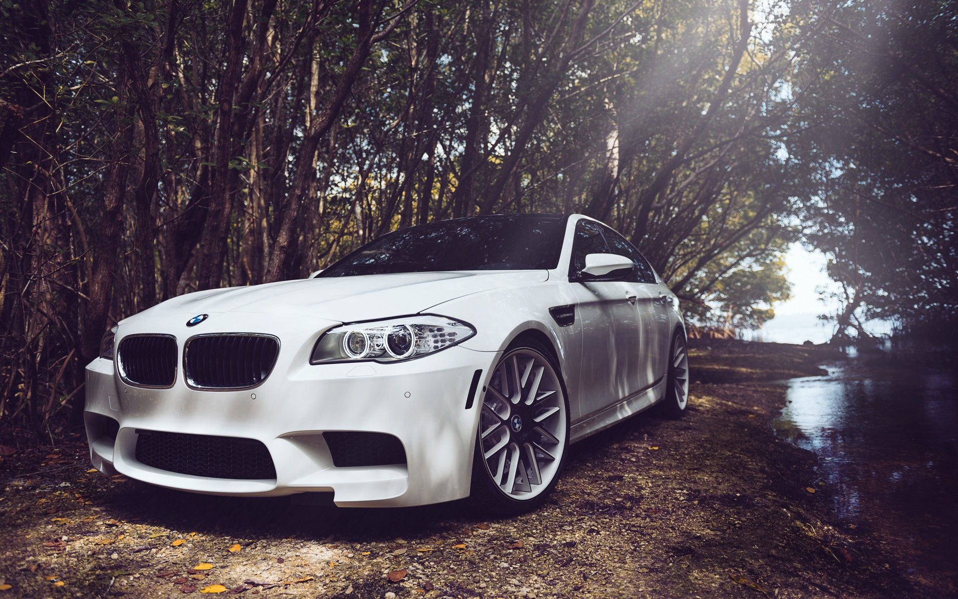 BMW M5 HD Wallpaper and Background