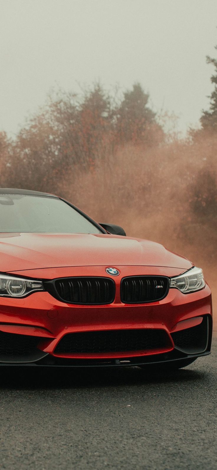 A red BMW M4 is driving on a road - BMW