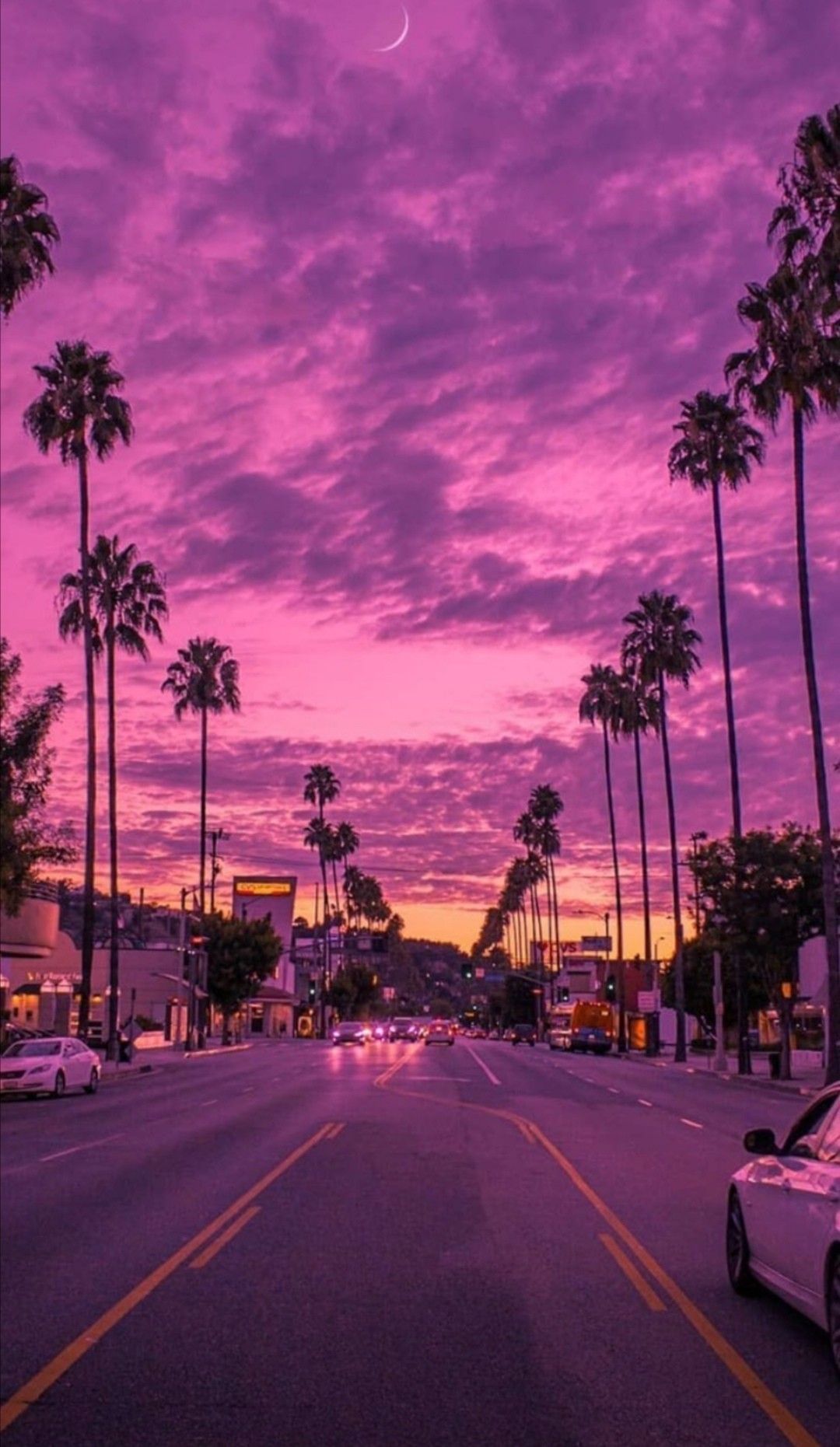 A purple sunset over a street lined with palm trees - Miami