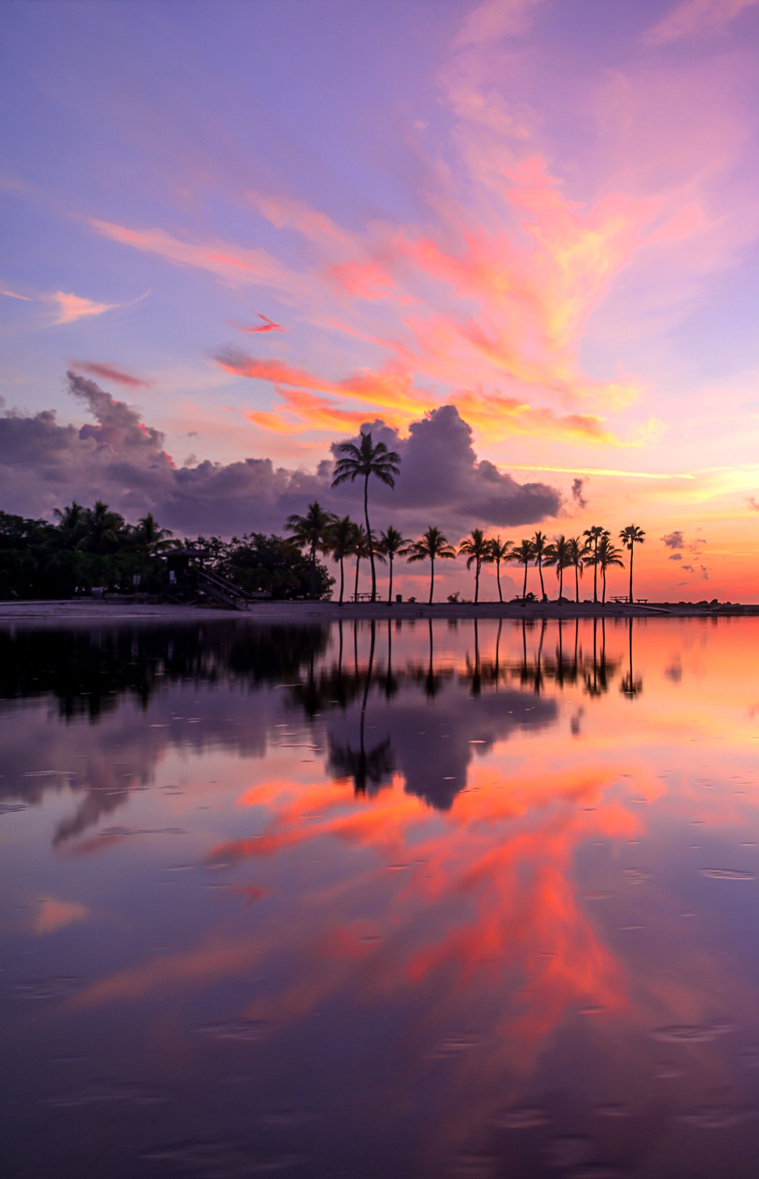 A beautiful sunset with palm trees and their reflection in the water. - Miami, Florida