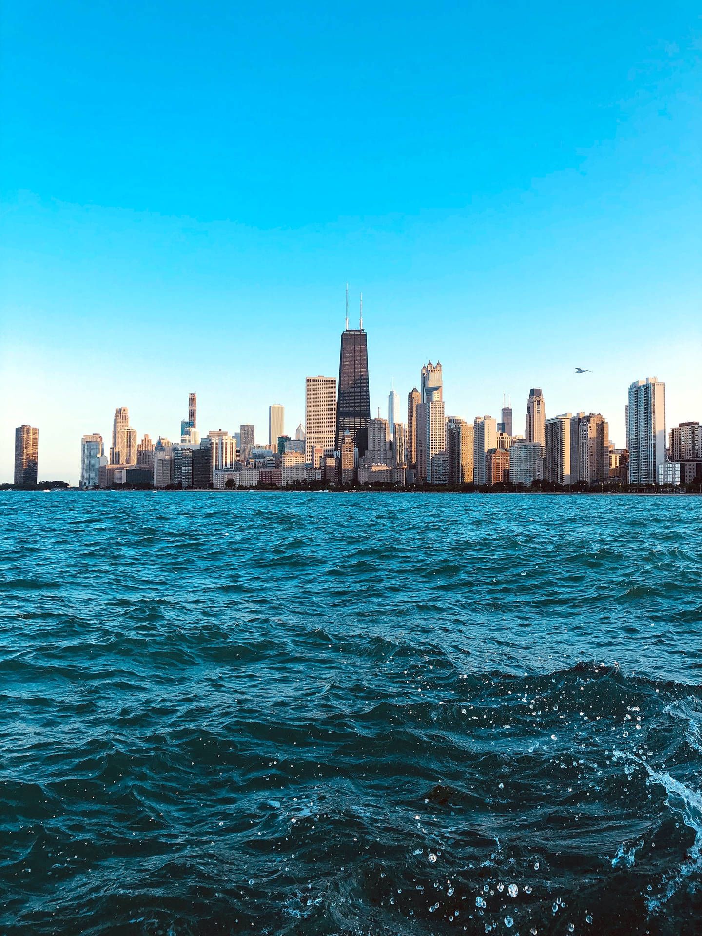 Download Aesthetic Blue Sea Chicago Skyline Wallpaper