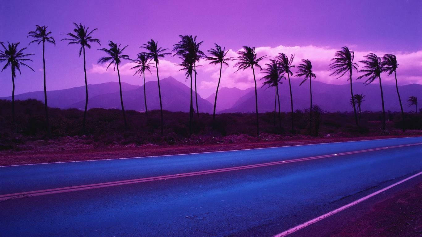 A road with palm trees and mountains in the background - Miami