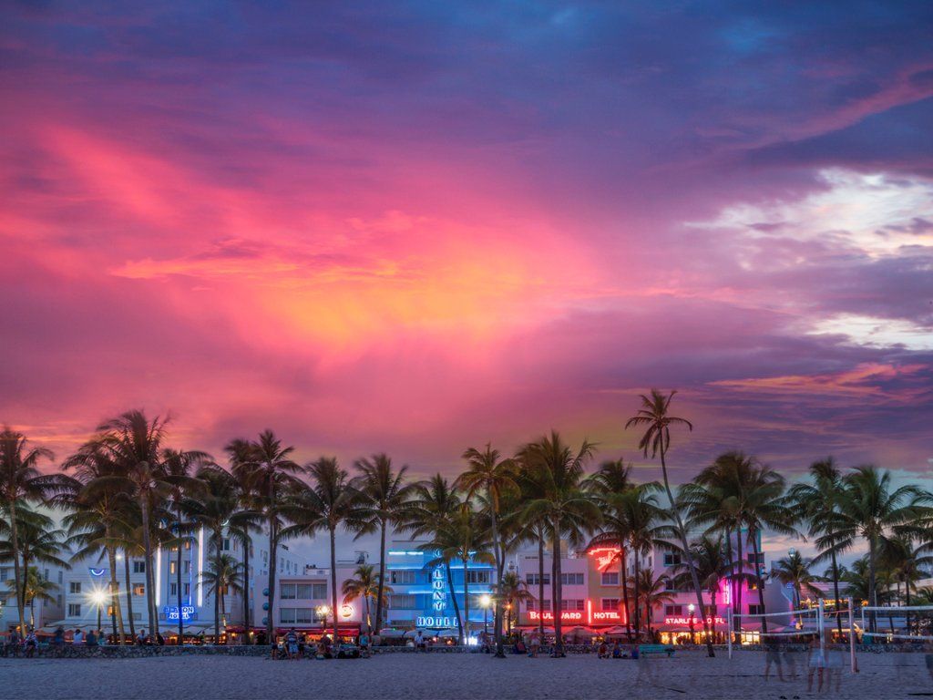 The sunset over the beach in Miami, with palm trees and neon lights. - Miami