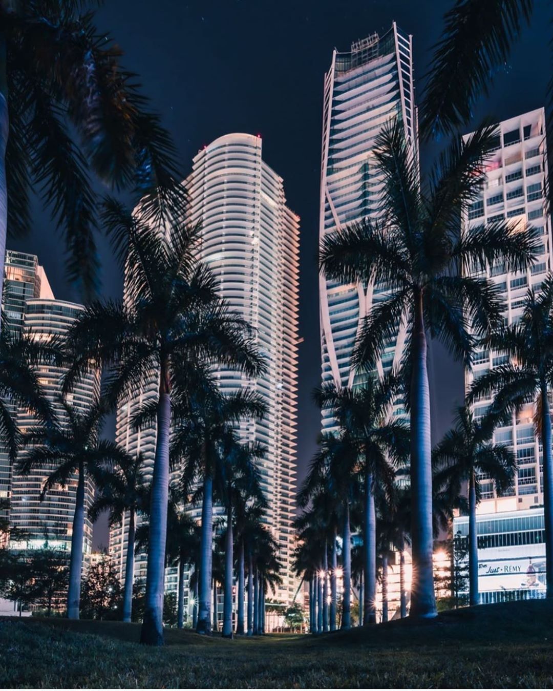 Miami. Official Page on Instagram: “Goodnight #Miami