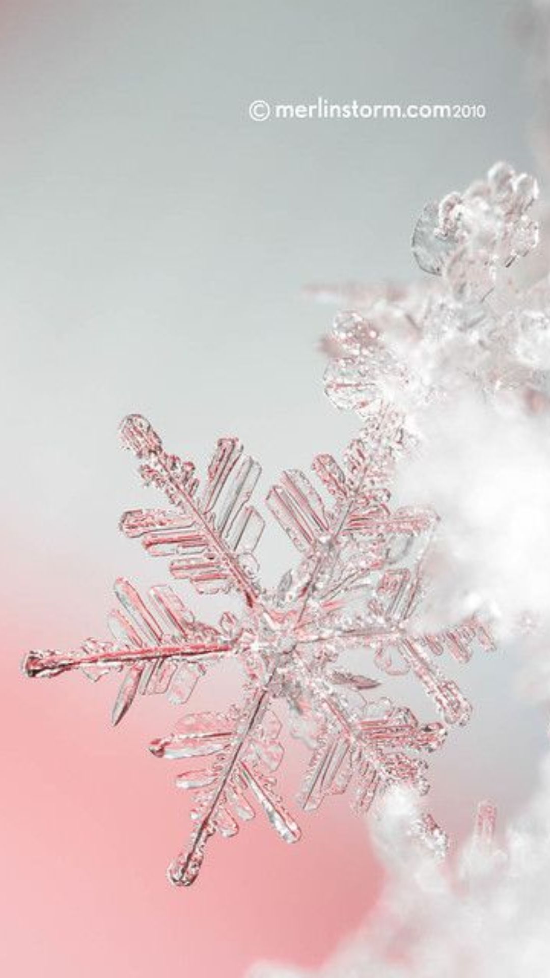 A close up of a snowflake on a pink and white background. - Snowflake