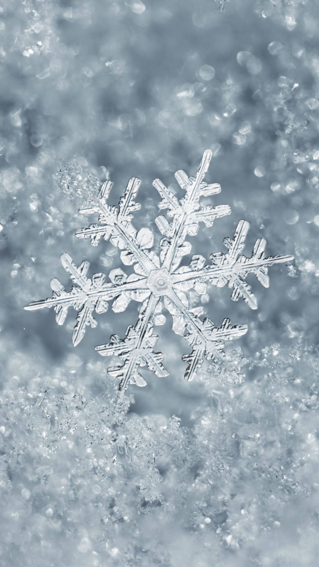 Free Snowflake Wallpaper Downloads, Snowflake Wallpaper for FREE