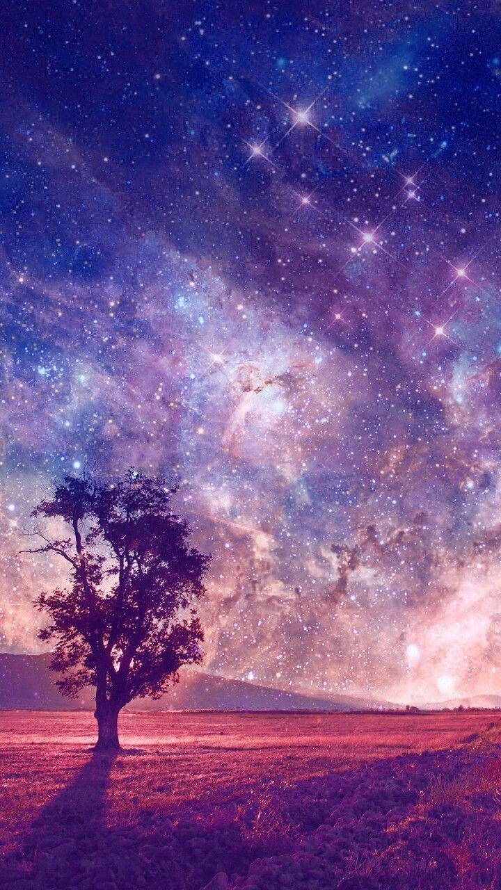 A tree under a starry sky. - Bisexual