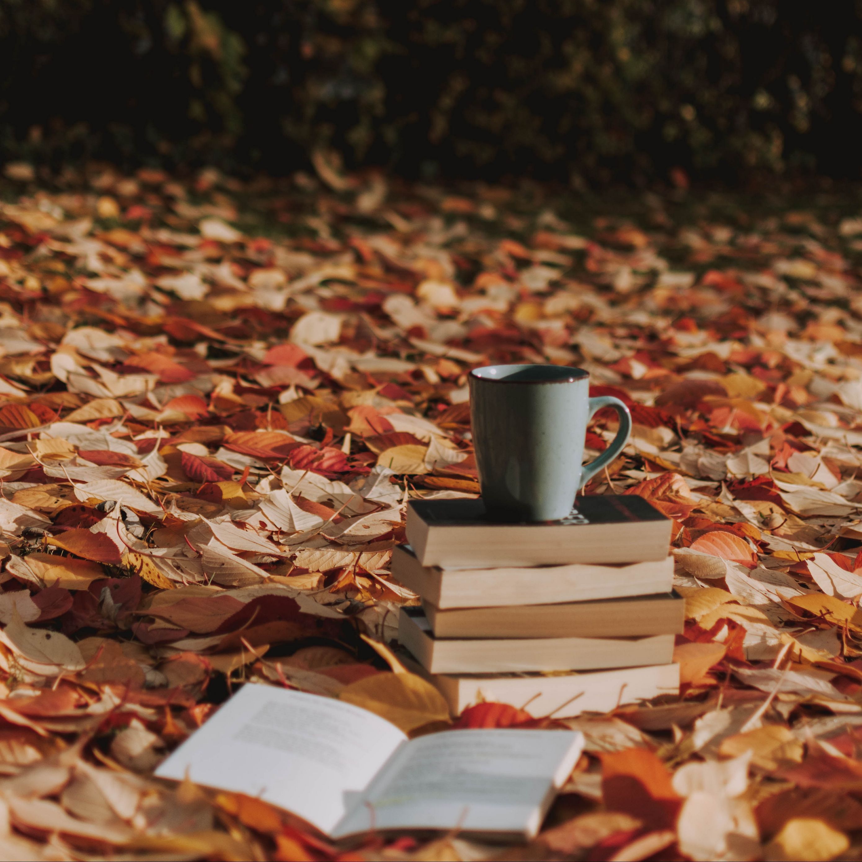 A cup of coffee sitting on top books - Fall