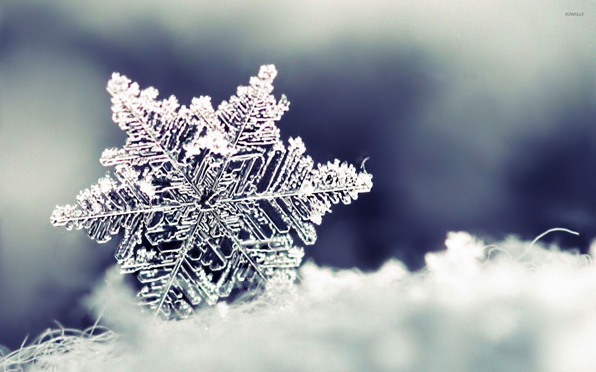 Snowflake Wallpaper Free Snowflake Background