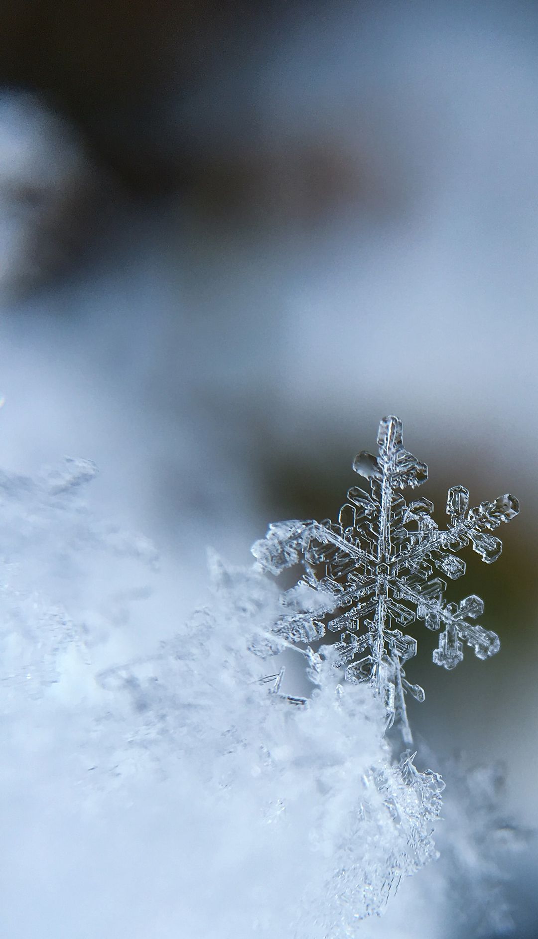 A snowflake is seen on a frozen surface in this picture - Snowflake, ice
