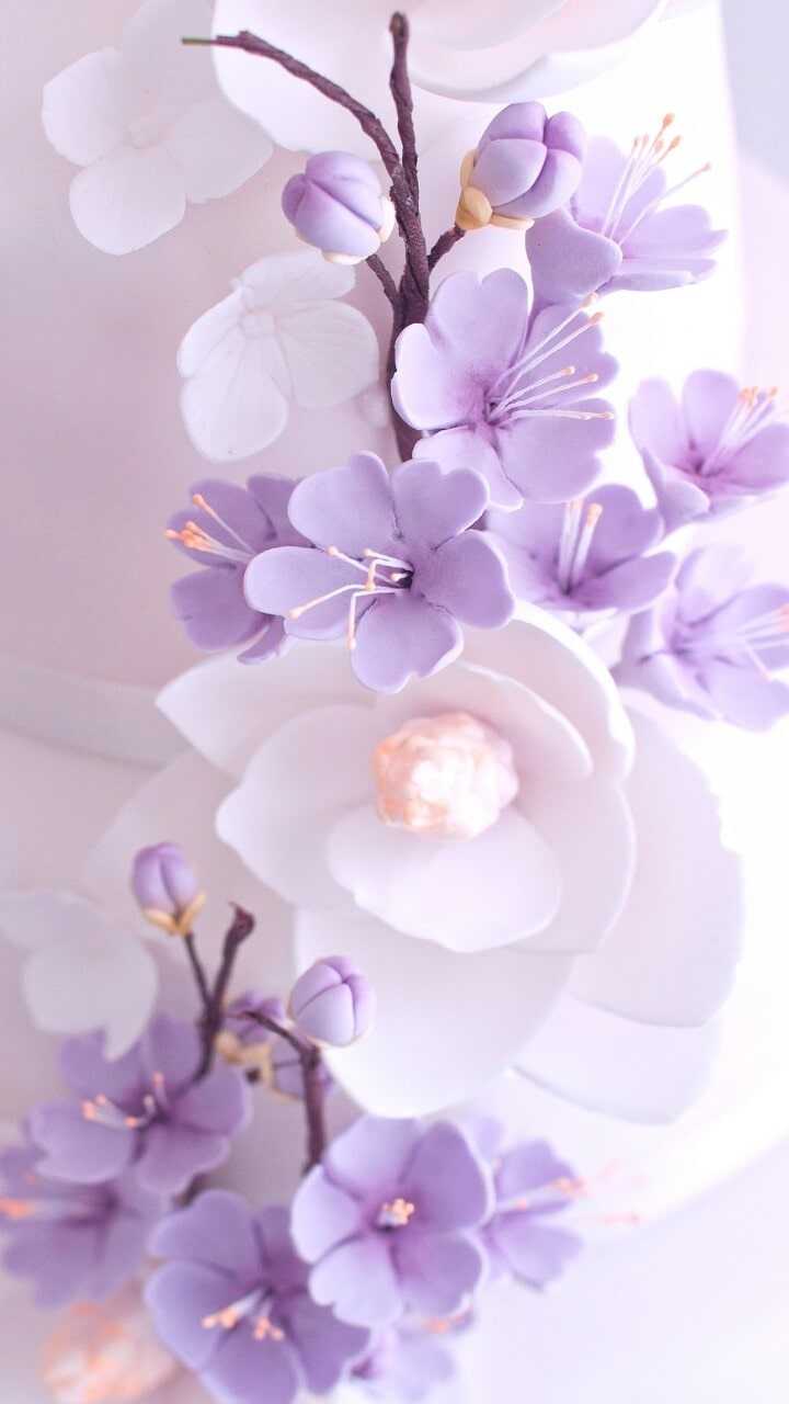Purple flowers on a white cake - Flower