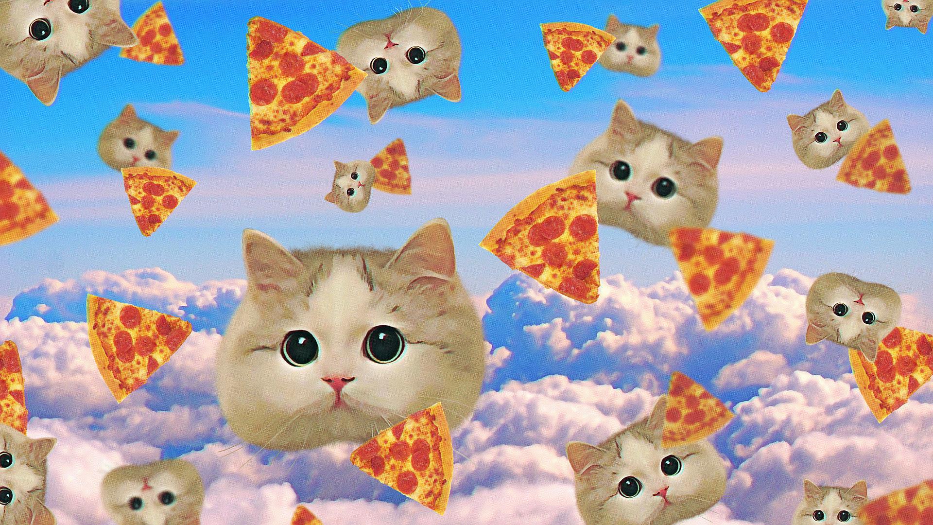Pizza Cat Wallpaper