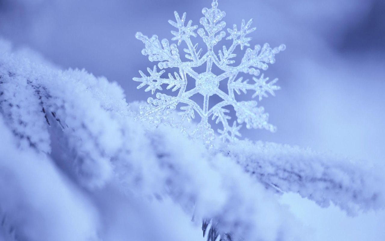 Free download Snowflake wallpaper 16236 [1280x800] for your Desktop, Mobile & Tablet. Explore Snowflake Wallpaper Image. Snowflake Desktop Background, Snowflake Background, Snowflake Desktop Wallpaper