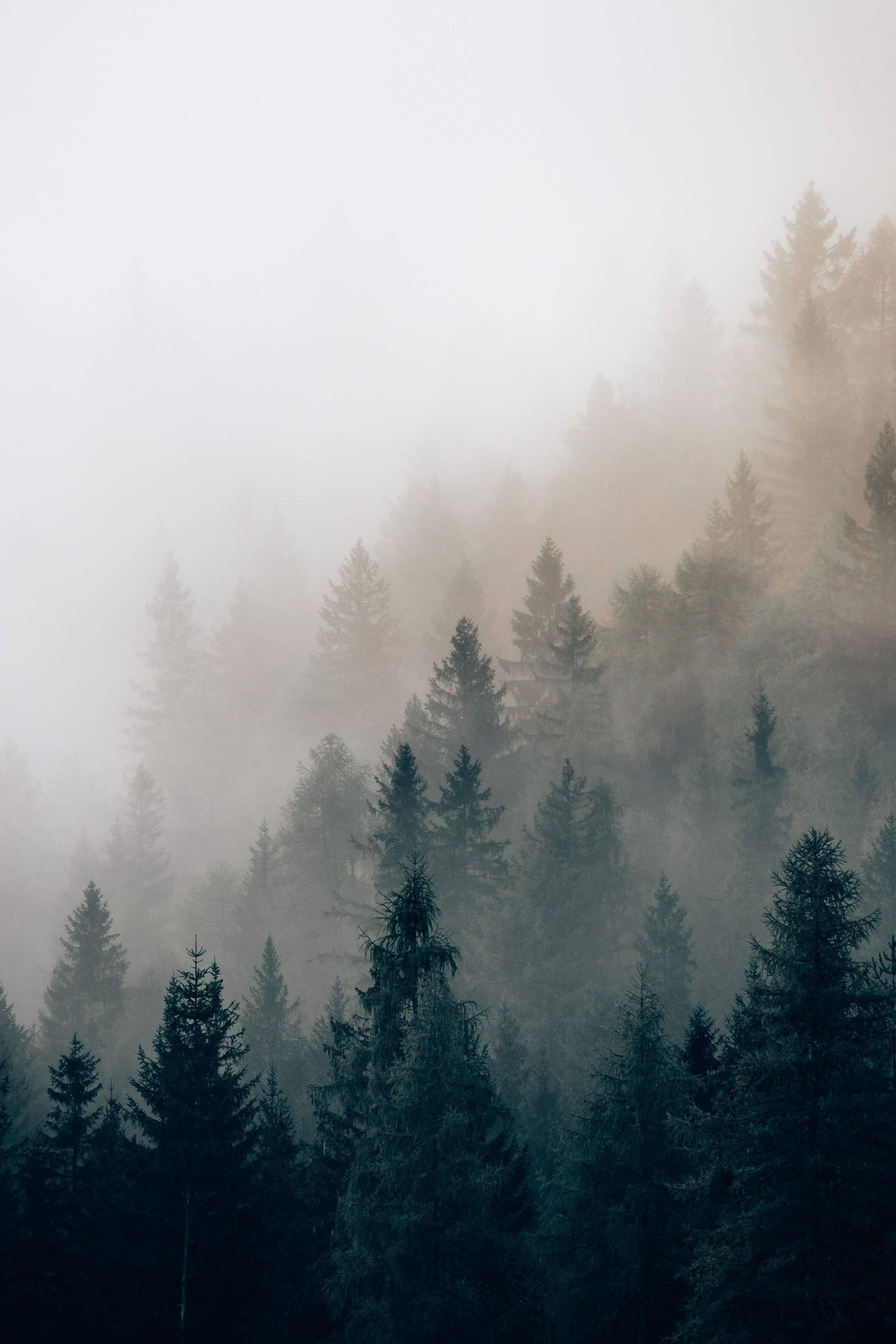 Cortina d'Ampezzo during the fog