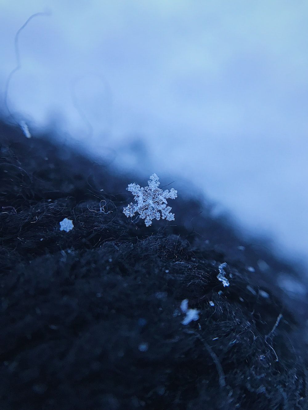 A snowflake rests on a black surface. - Snowflake