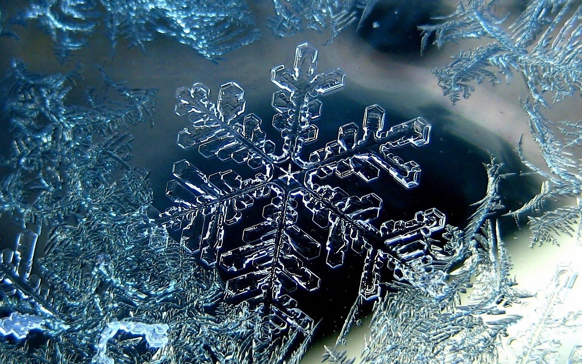 A snowflake is seen in this close-up photo. - Snowflake