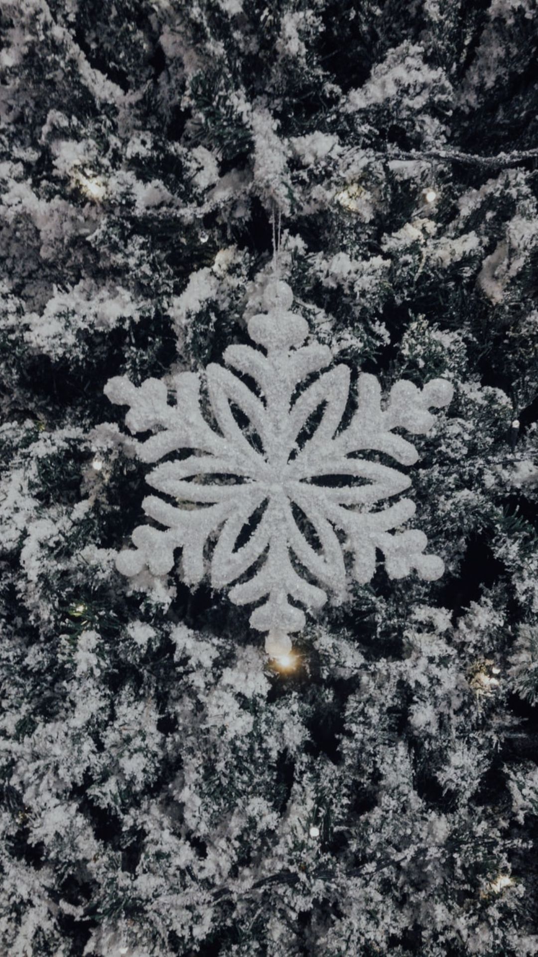 A snowflake ornament hanging from the branch of tree - Snowflake