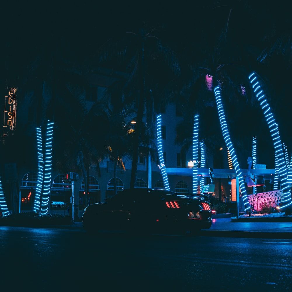 Miami Nights Picture. Download Free Image