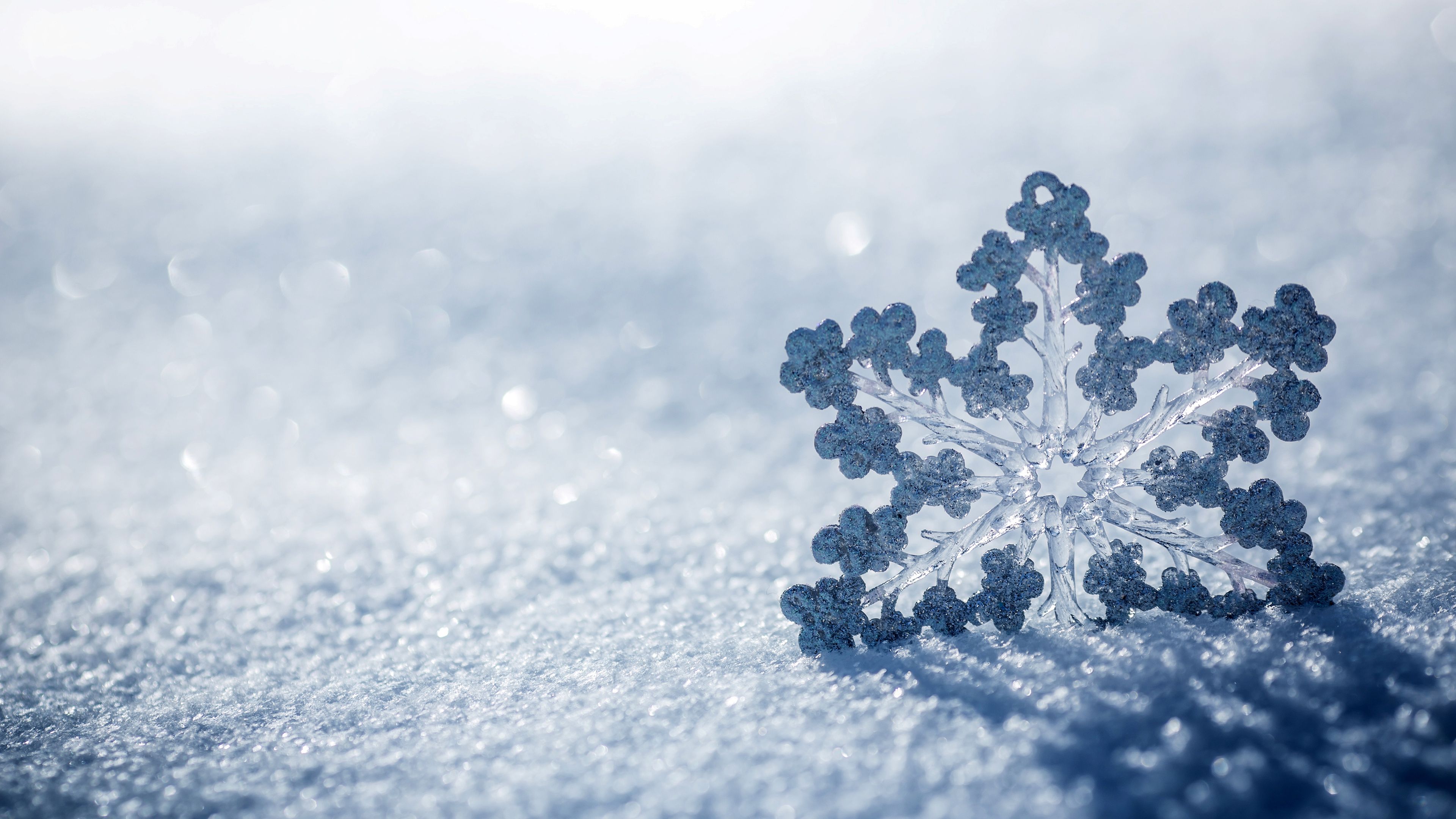 Snowflake on the snow - Snowflake