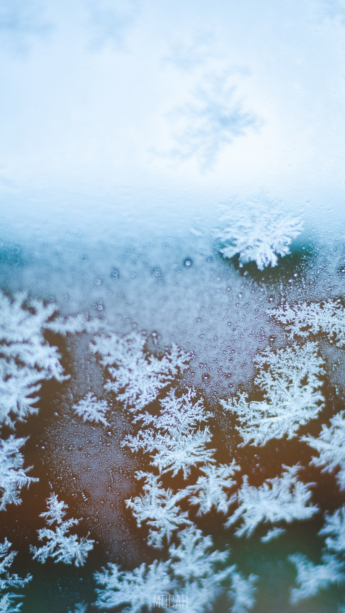 Snowflake, Freezing, Winter, Snow, Frost, Nokia 9 screensaver, 1440x2560 Gallery HD Wallpaper