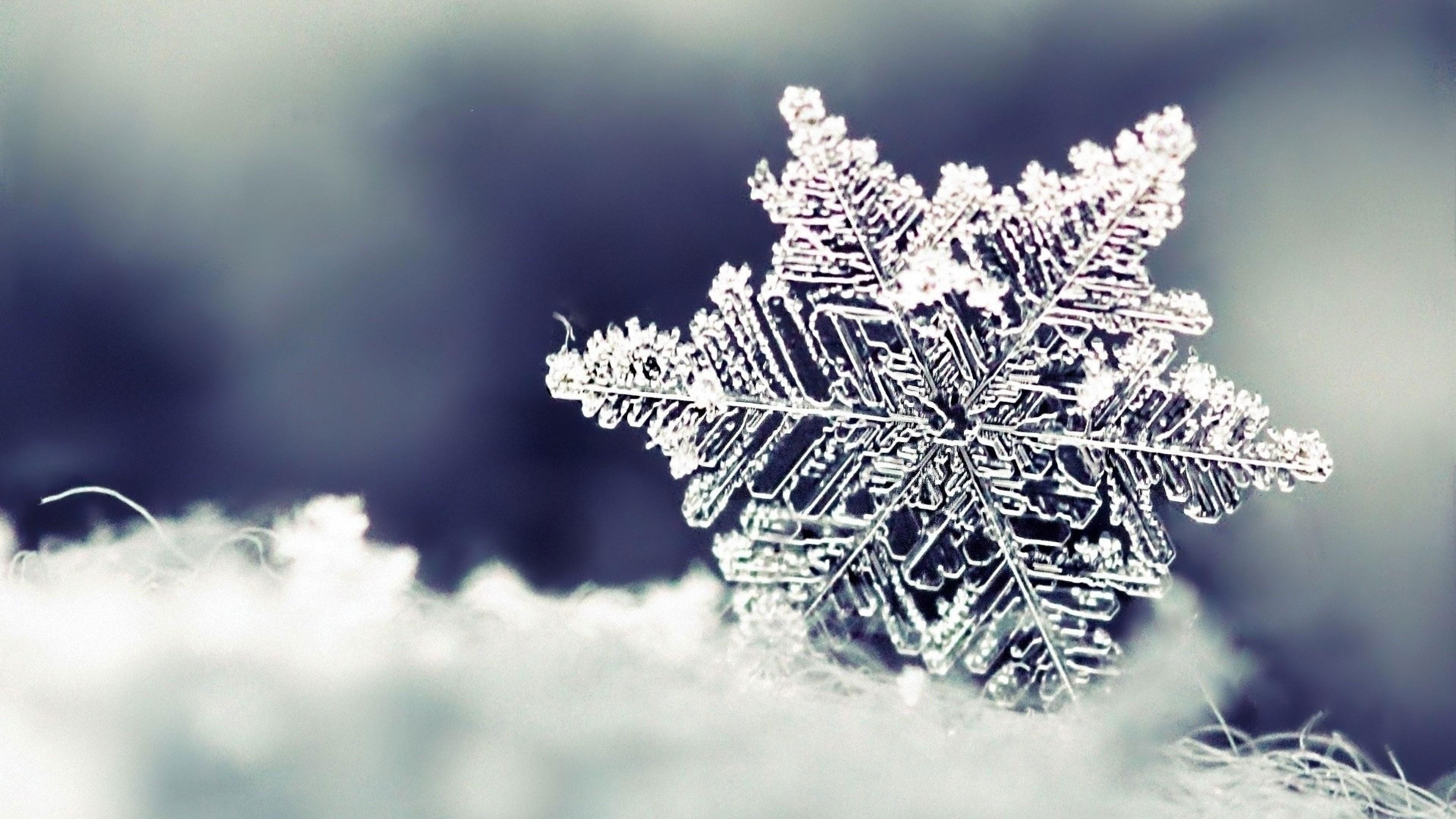 A snowflake is sitting on top of some white stuff - Snowflake
