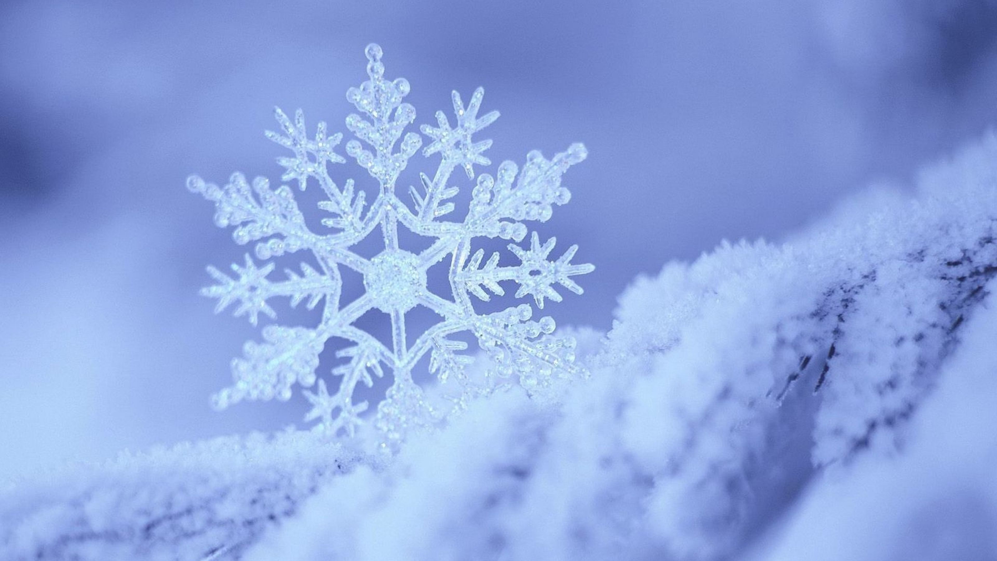A snowflake on top of snow - Snowflake