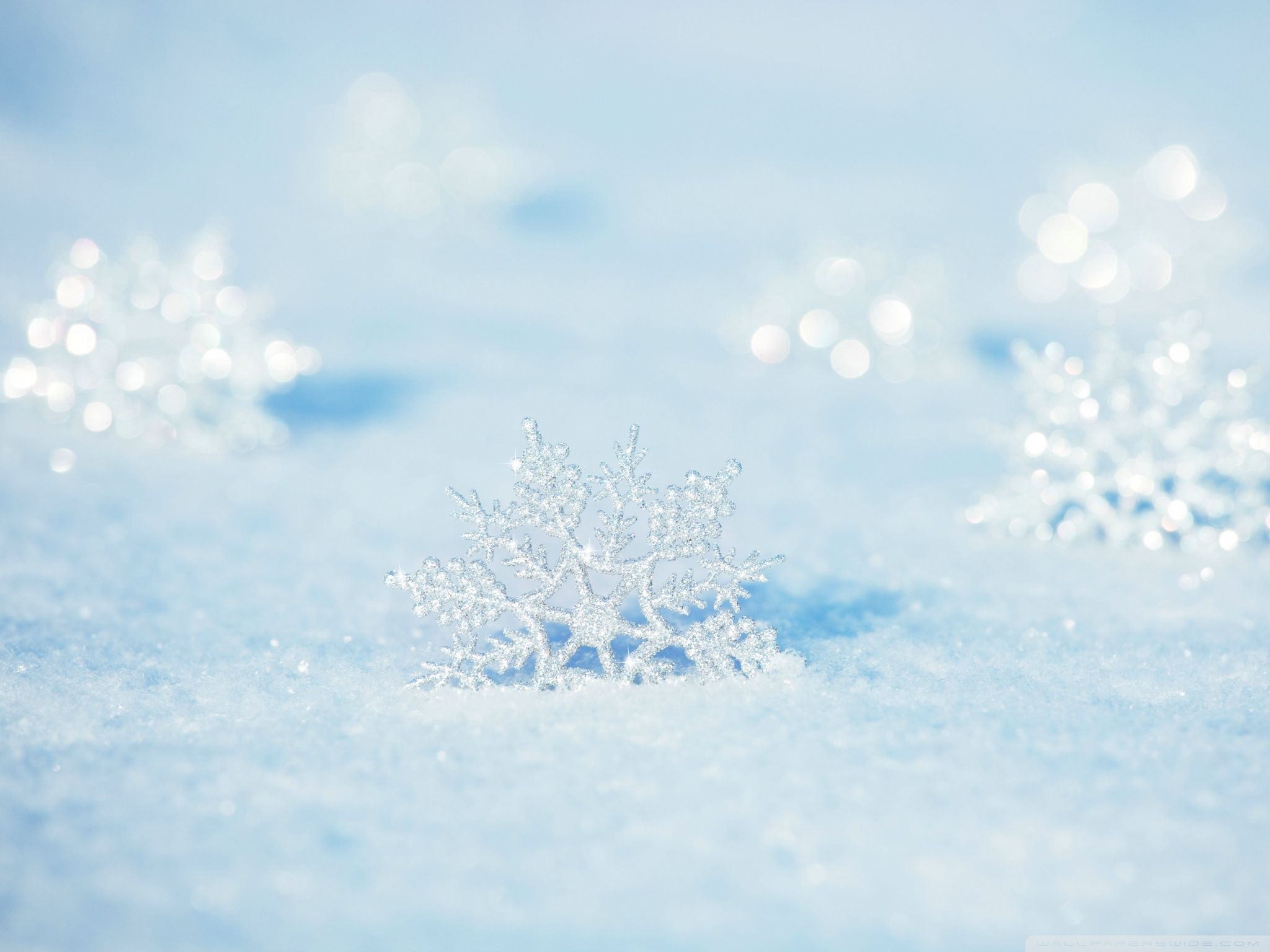 A group of snowflakes on the ground - Snowflake