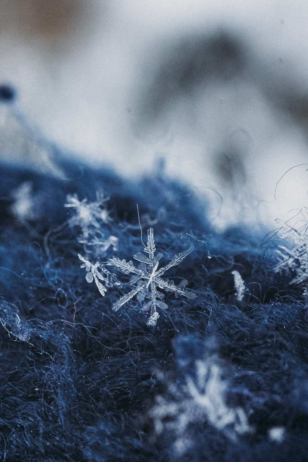 A snowflake on a dark blue woolen fabric - Snowflake