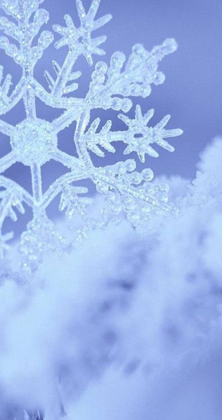 Download Frosted Snowflake At Snow Wallpaper
