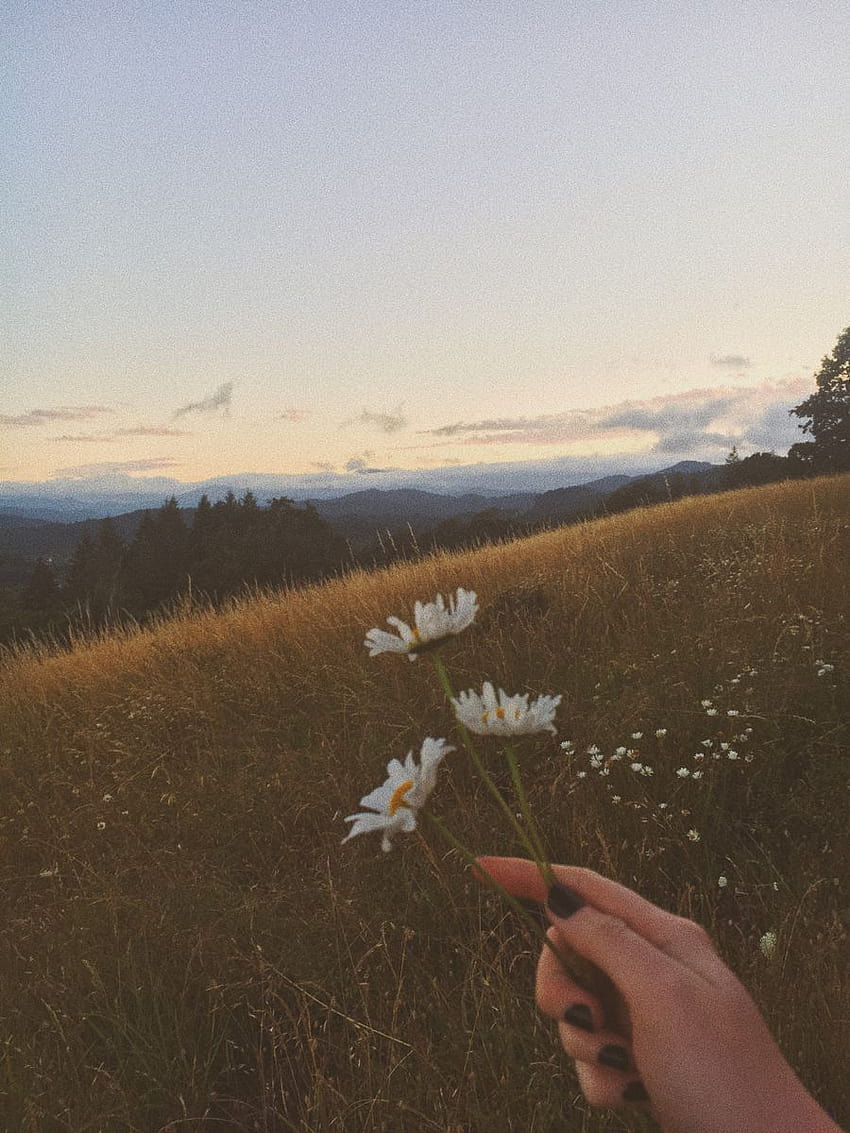 A person holding flowers in the middle of nowhere - Warm