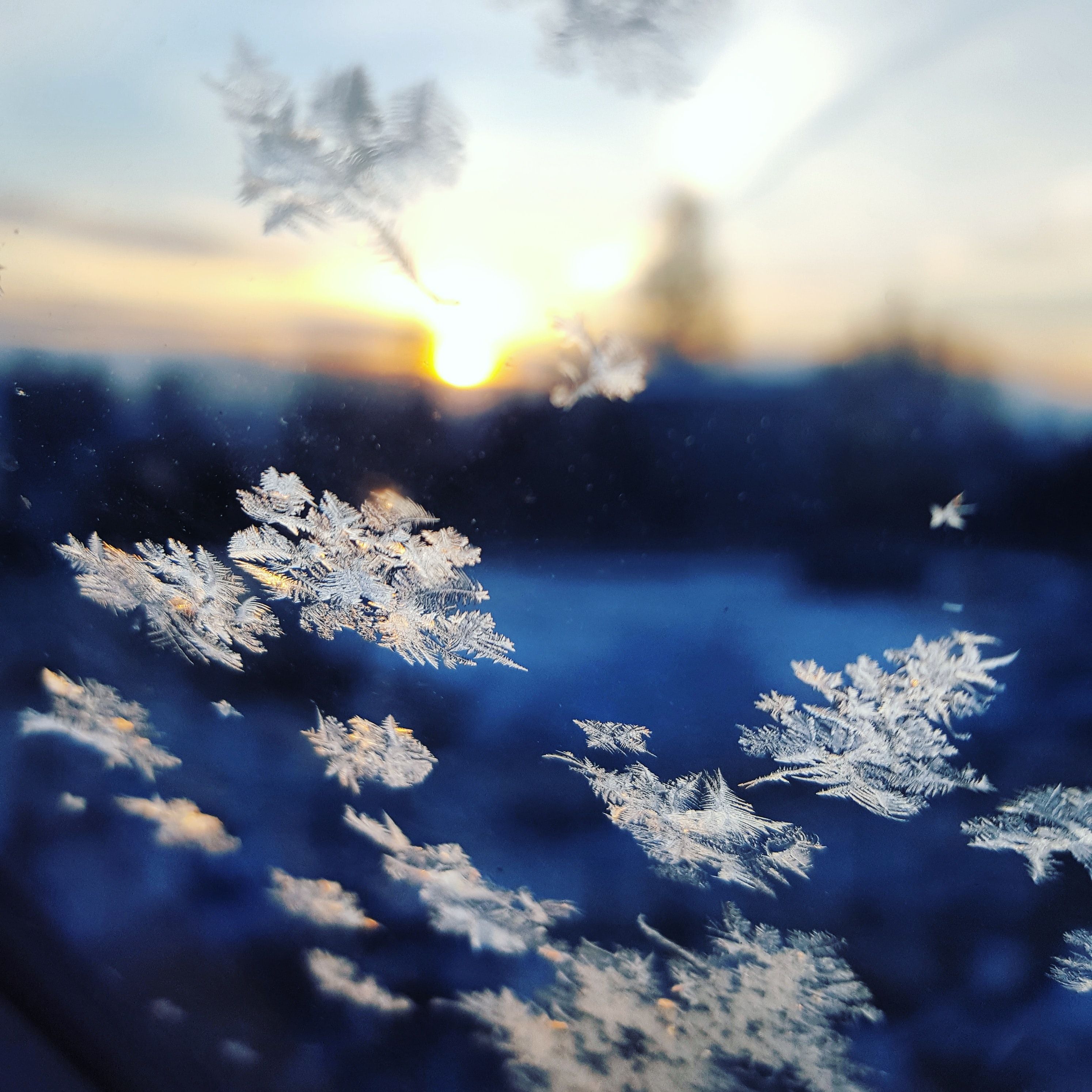 Snowflakes in the sun - Snowflake, winter